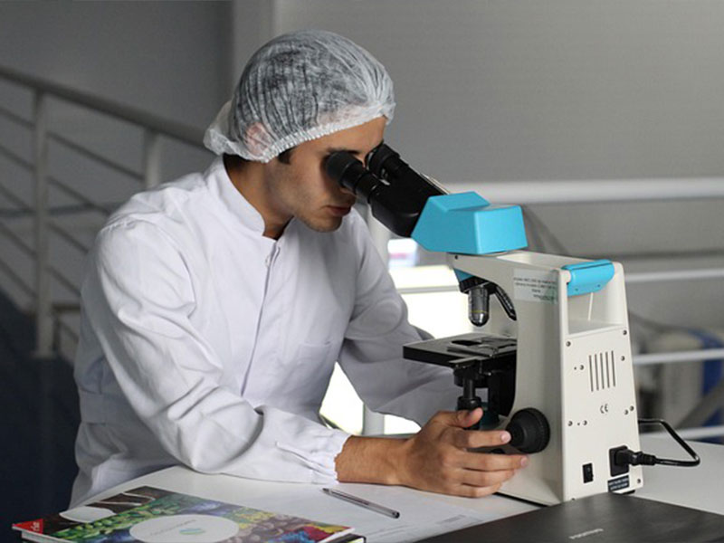 Raw Material Quality Testing and Compliance Certification Service